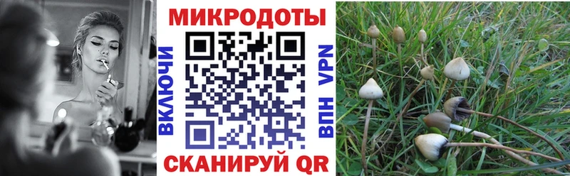 Галлюциногенные грибы ЛСД площадка клад Ялуторовск